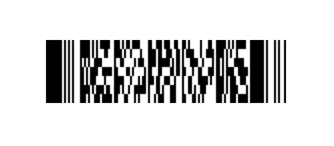 PDF417 条形码格式的实例。一个较小的黑白方块的矩形